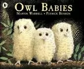 Owl Babies: Over two million copies sold - a heartwarming bedtime picture book story that comforts and reassures - also the perfect gift for toddlers and new parents