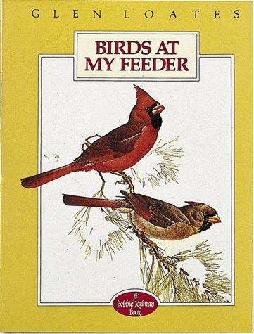Birds at My Feeder