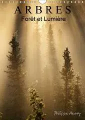 Arbres. Foret Et Lumiere: Des Arbres Dans Toute Leur Beaute.