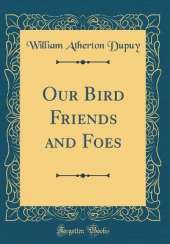 Our Bird Friends and Foes (Classic Reprint)