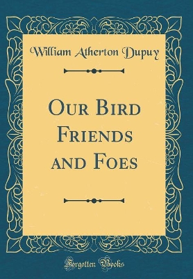 Our Bird Friends and Foes (Classic Reprint)