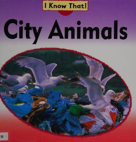 City Animals