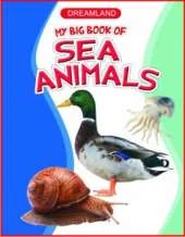 Sea Animals