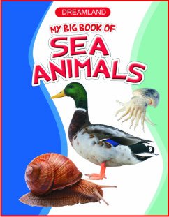 Sea Animals