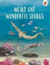 WEIRD AND WONDERFUL SHARKS: Shark Safari   STEM