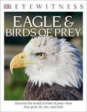 DK Eyewitness Books: Eagle and Birds of Prey: Discover the World of Birds of Prey How They Grow, Fly, Live, and Hunt