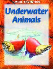 Underwater Animals