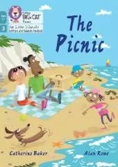 The Picnic: Phase 3 Set 1 Blending Practice