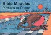 Bible Miracles