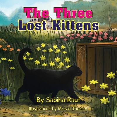 The Three Lost Kittens