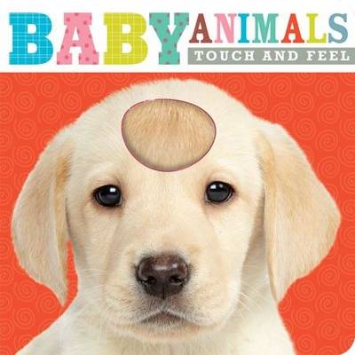 Baby Animals: Touch and Feel