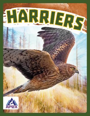 Harriers