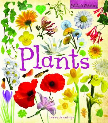 Plants