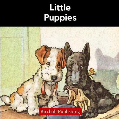 Little Puppies