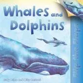 Flip the Flaps: Whales and Dolphins