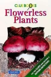 Flowerless Plants