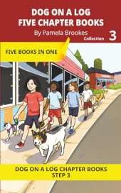 Five Chapter Books 3: Decodable Series for Students Learning to Read. For Beginning Readers and Students with Dyslexia. (Step 3--ng, -nk)