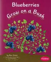 Blueberries Grow on a Bush