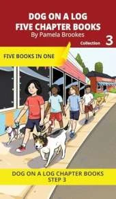 Five Chapter Books 3: Decodable Series for Students Learning to Read. For Beginning Readers and Students with Dyslexia. (Step 3--ng, -nk)