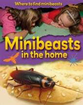 Where to Find Minibeasts: Minibeasts in the Home