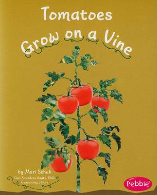 Tomatoes Grow on a Vine