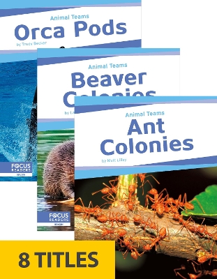 Animal Teams (Set of 8)