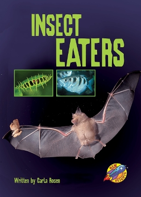 Insect Eaters