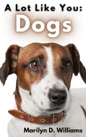A Lot Like You: Dogs