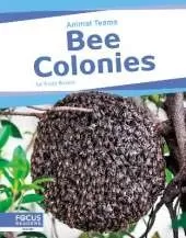 Animal Teams: Bee Colonies