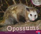 Opossums