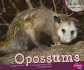 Opossums
