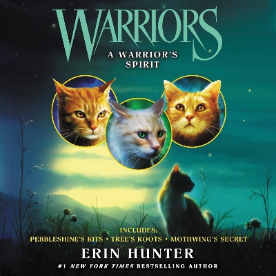 Warriors: a Warrior's Spirit