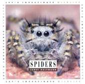 Spiders