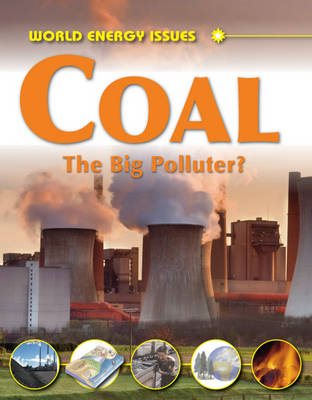 World Energy Issues: Coal - The Big Polluter?