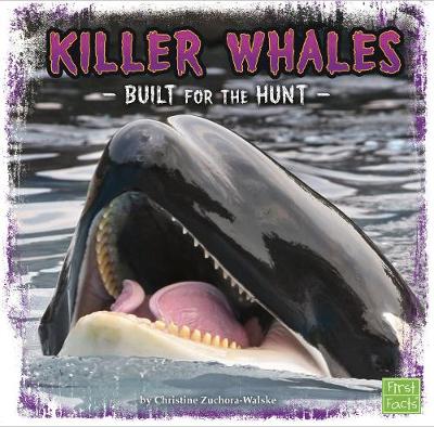 Killer Whales: Built for the Hunt