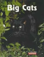 Livewire Investigates Big Cats