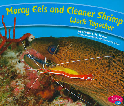 Moray Eels and Cleaner Shrimp Work Together