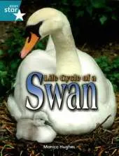 Rigby Star Independent Year2/P3 Turquoise Level: The Life of Swans