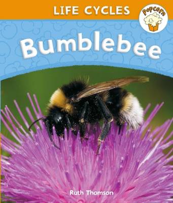 Popcorn: Life Cycles: Bumblebee