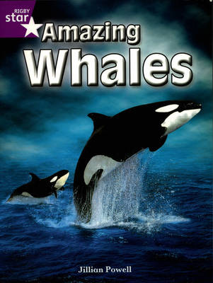 Rigby Star Independent Year 2/P3 Purple Level: Amazing Whales