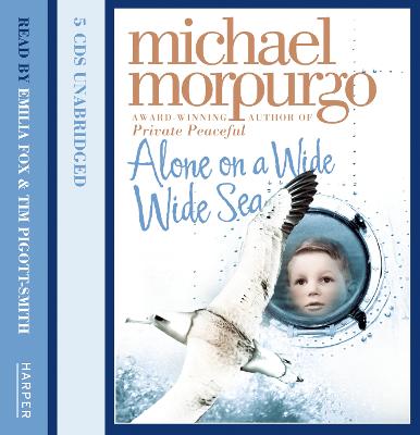 Alone on a Wide Wide Sea