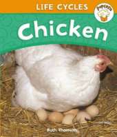 Popcorn: Life Cycles: Chicken