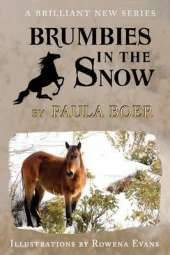 Brumbies in the Snow: Book 2