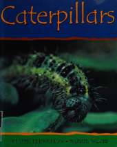 Caterpillars