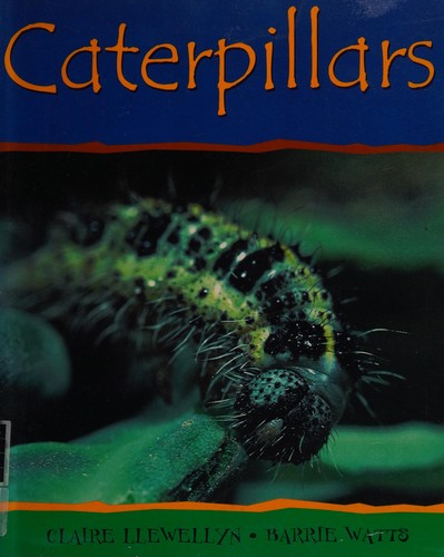 Caterpillars