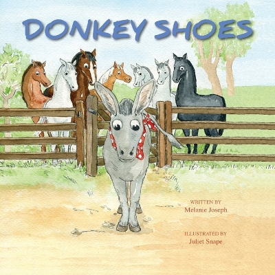 Donkey Shoes