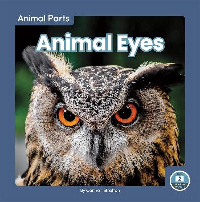 Animal Eyes