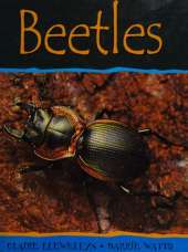 Beetles