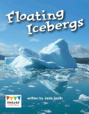 Floating Icebergs