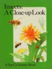 Insects: A Close-up Look